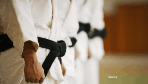 AB Valeurs judo